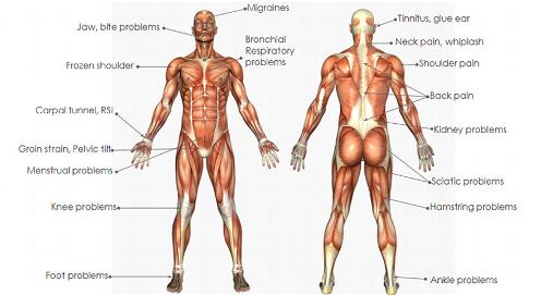 What conditions can bowen treat