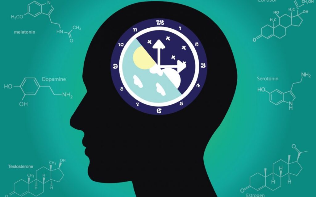 Cortisol vs melatonin